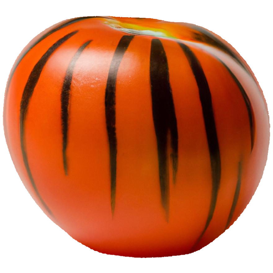 斑马果科技 Logo